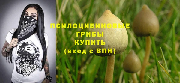 не бодяженный Алексин