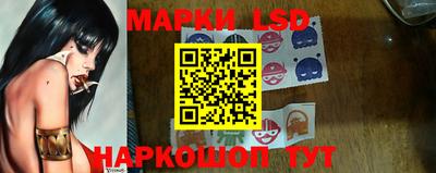 индика Бийск