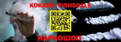индика Бийск