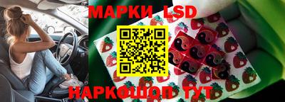стаф Берёзовский