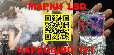 стаф Берёзовский