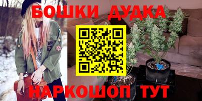 индика Бийск