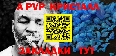 стаф Берёзовский