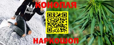 стаф Берёзовский