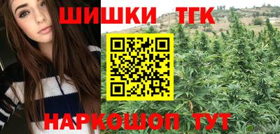 индика Бийск
