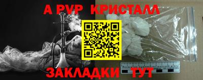 индика Бийск