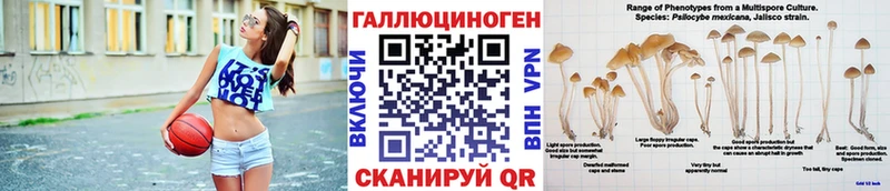 Псилоцибиновые грибы Psilocybe  Борзя 