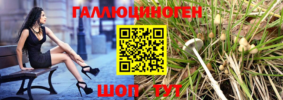 даркнет сайт  Псилоцибиновые грибы Psilocybe  Вход с VPN  Борзя 